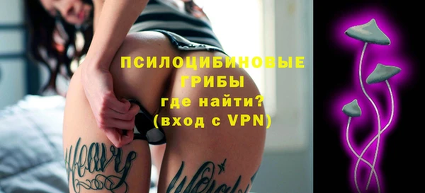 гашик Балабаново