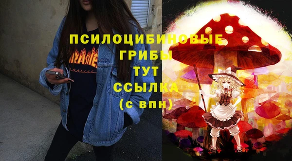 гашик Балабаново