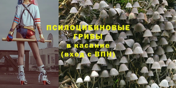прущие крисы Балахна