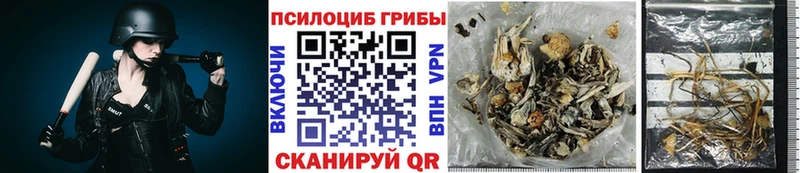 Галлюциногенные грибы MAGIC MUSHROOMS  Болохово 